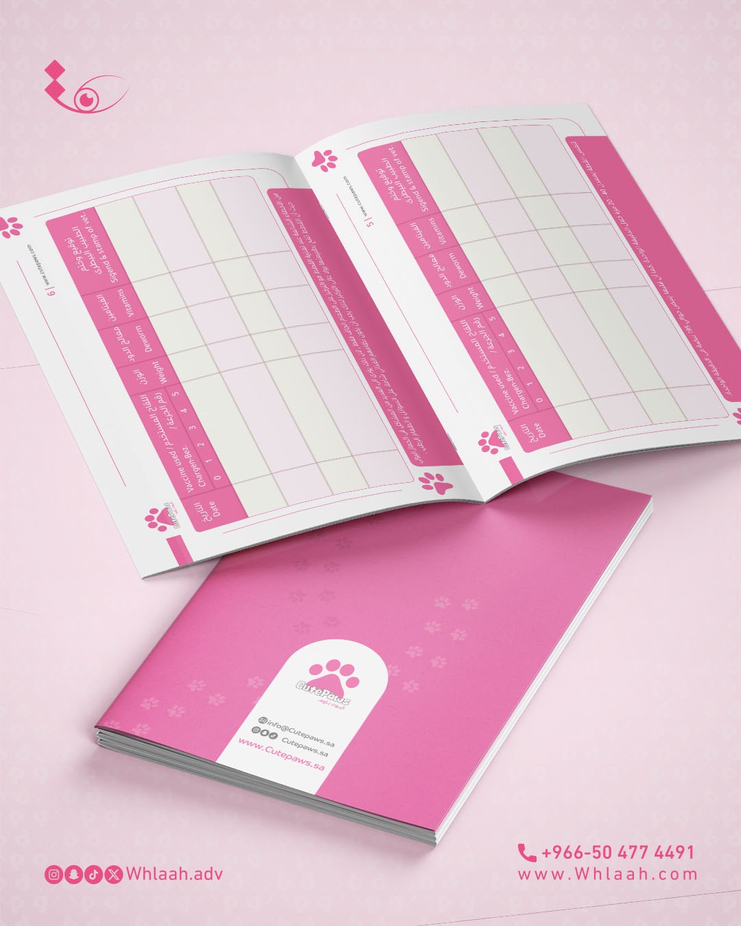 WhatsApp Image 2026-01-15 at 13.01.37