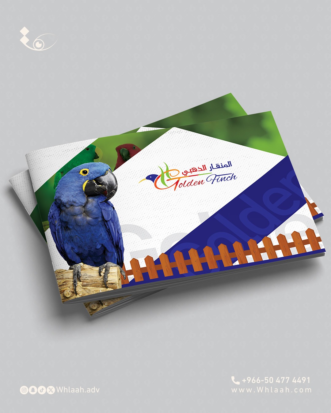 WhatsApp Image 2025-08-17 at 07.28.45 (1)