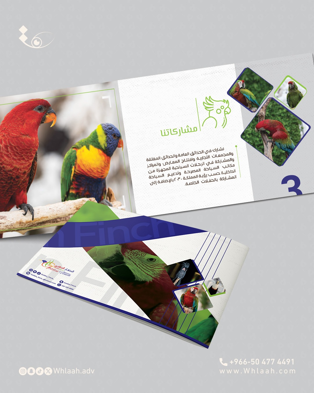 WhatsApp Image 2025-08-17 at 07.28.48 (1)