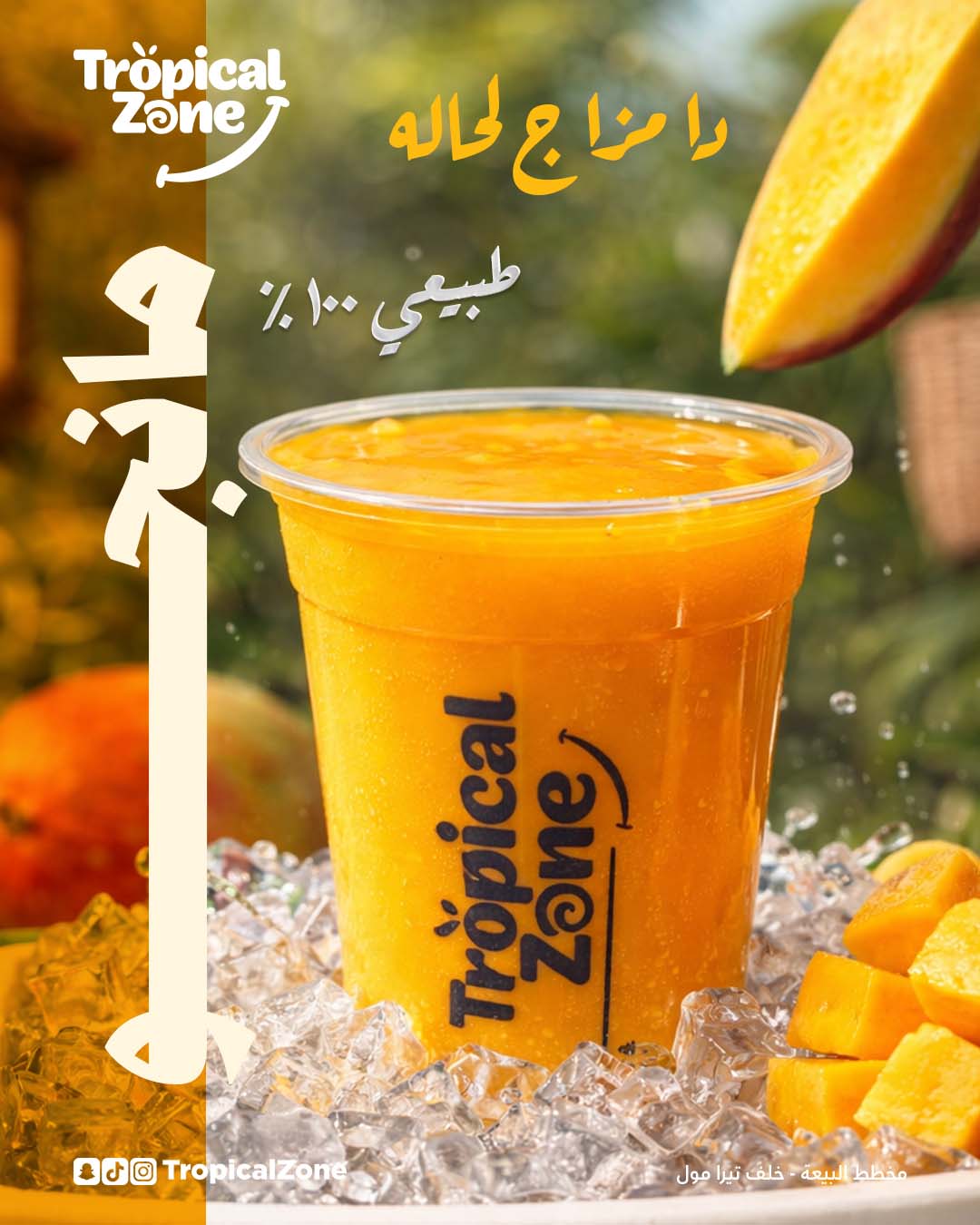 SocialMedia_Tropicalzone_insta Artboard 1 copy 2