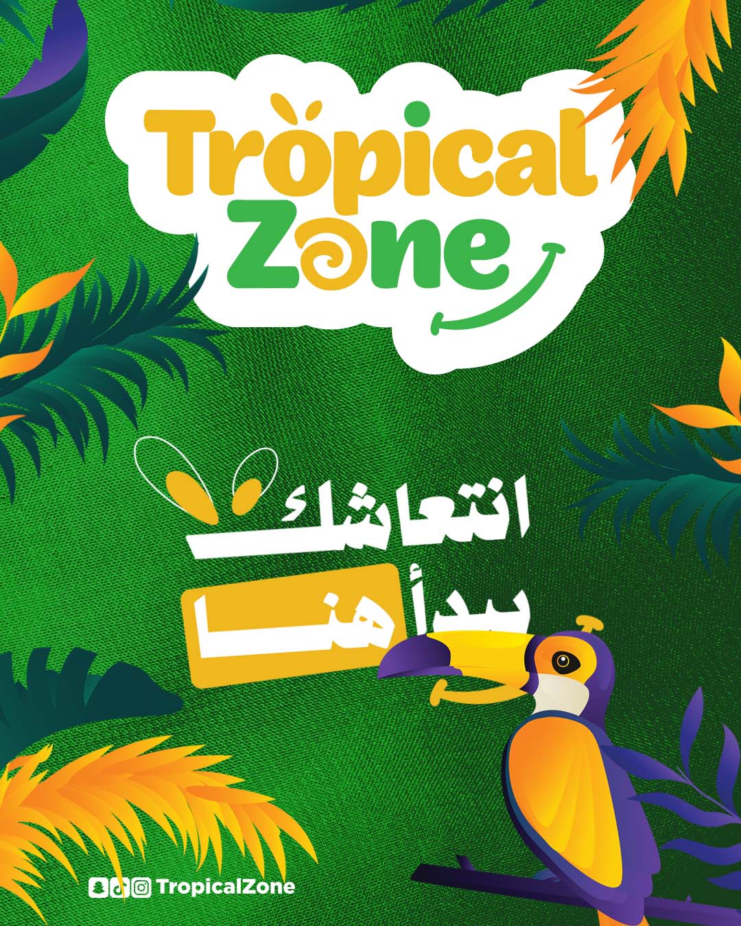 SocialMedia_Tropicalzone_insta Artboard 1