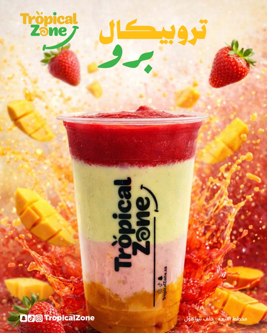 SocialMedia_Tropicalzone_insta Artboard 2 copy 2_1