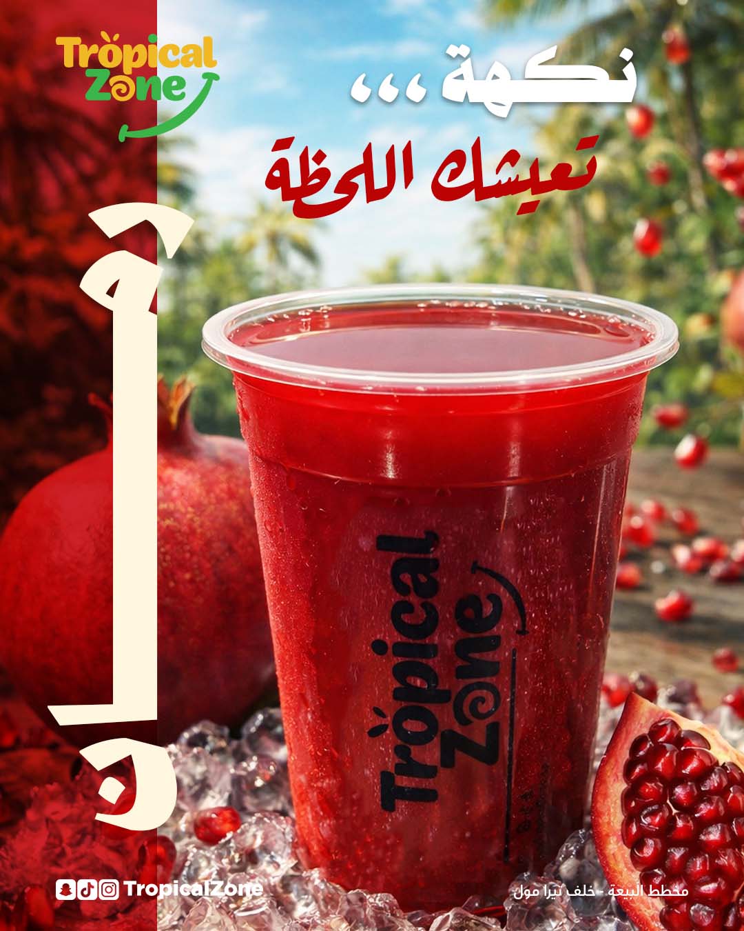 SocialMedia_Tropicalzone_insta Artboard 2 copy 2_2