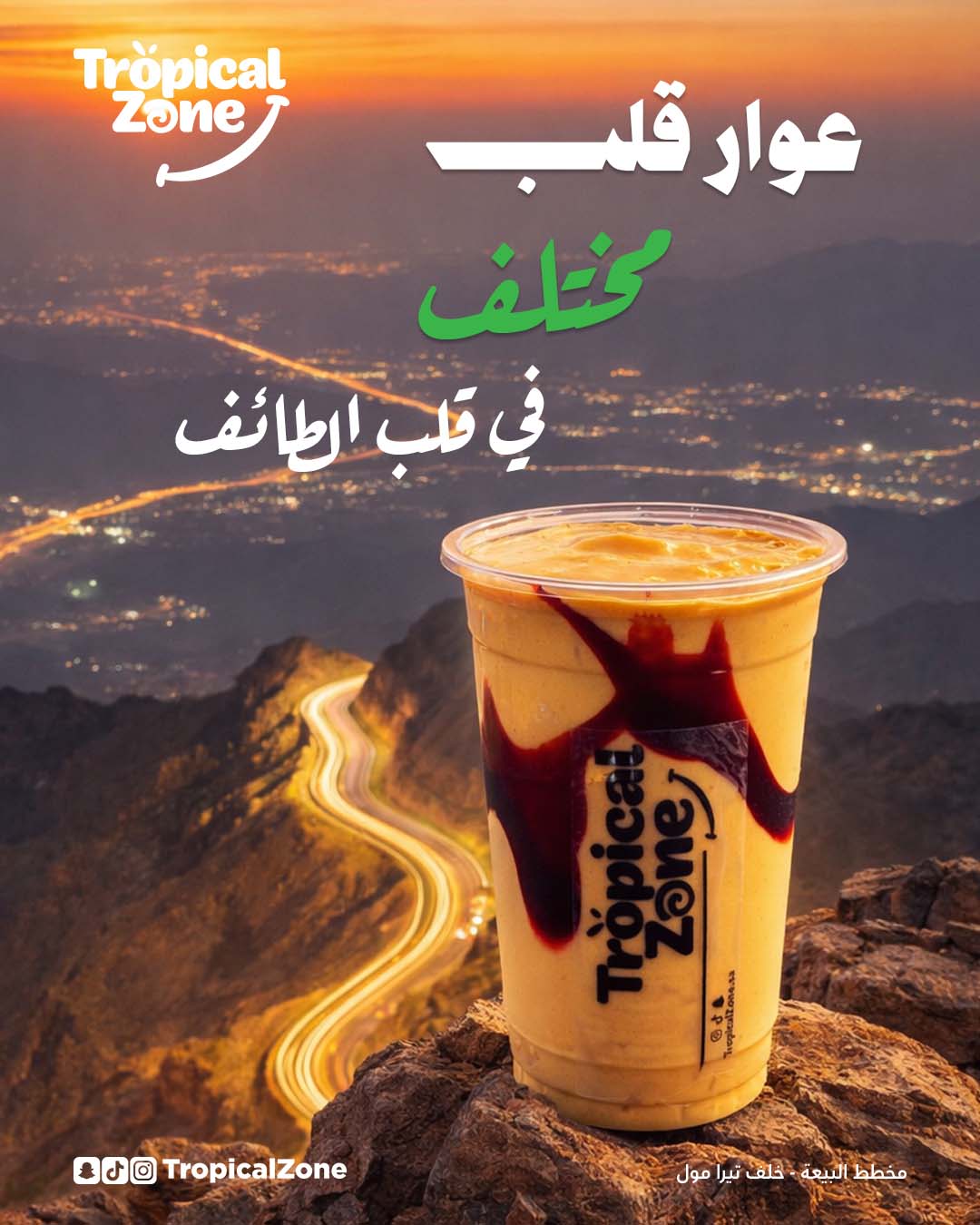 SocialMedia_Tropicalzone_insta Artboard 2 copy