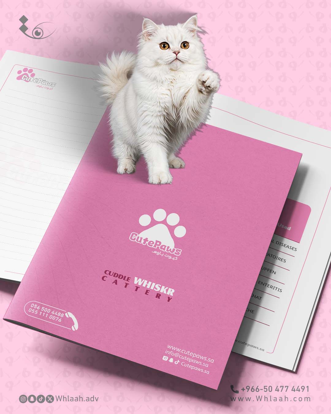 Branding_Cutepaws_PostBooklet 04